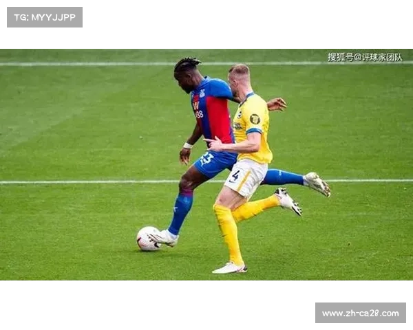 团队贡献获认可布莱顿引援模型成英超创新典范