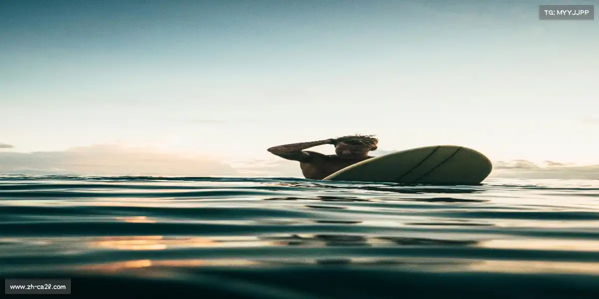 加拿大28官网——🧗♂️⛰ 岩点飞跃,云巅摘月!